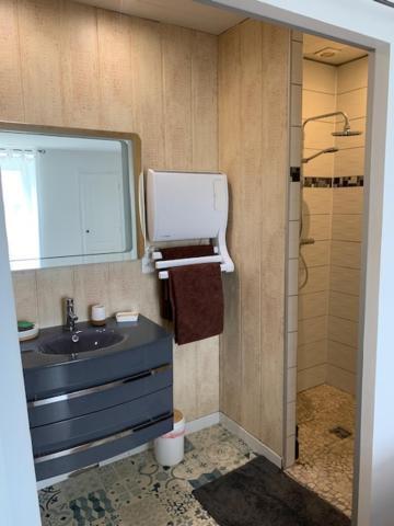 Apartament Chambre Spacieuse Lit King Size Niort Zewnętrze zdjęcie